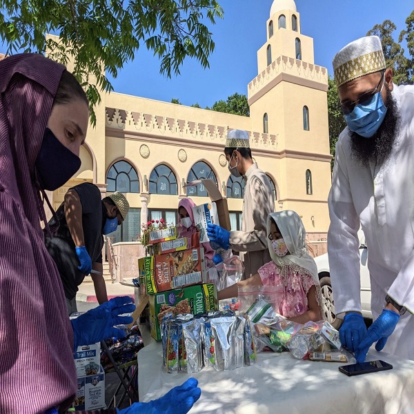 Haris J and Shahid Afridi